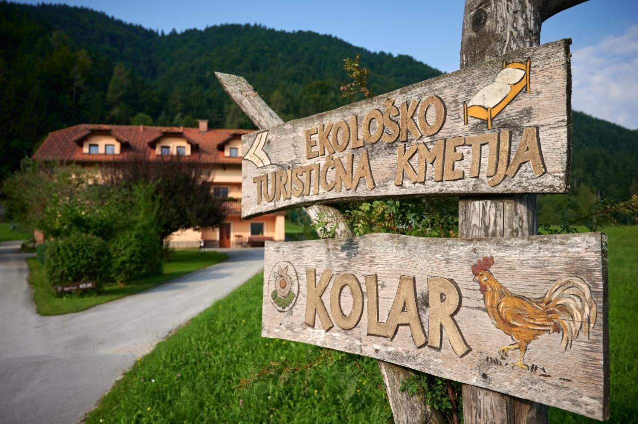 Tourist Farm Kolar Vila Ljubno Exterior foto