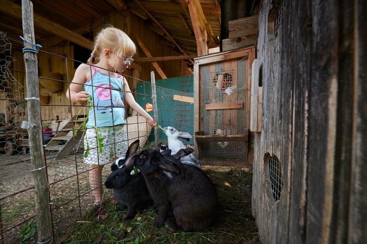 Tourist Farm Kolar Vila Ljubno Exterior foto