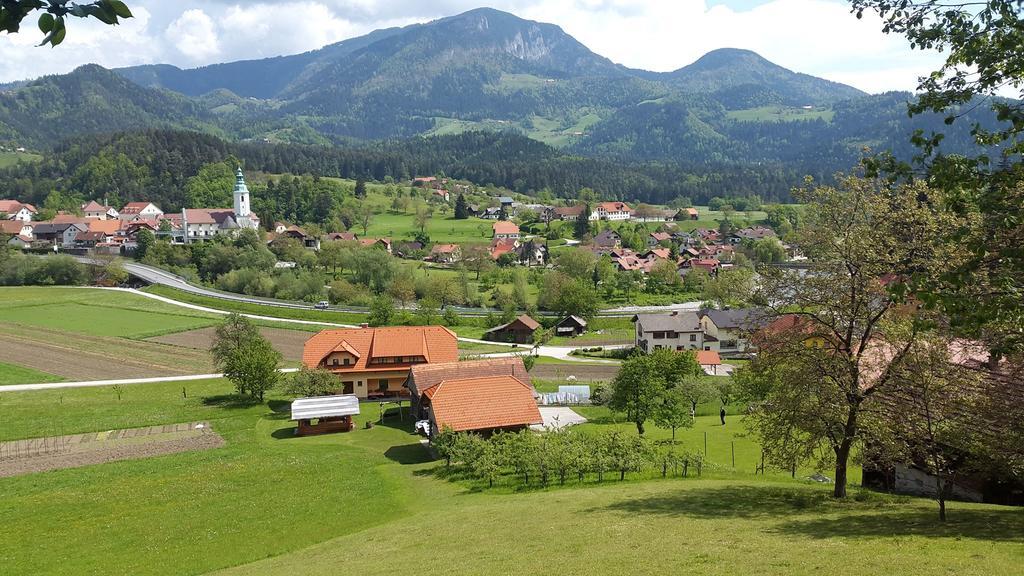 Tourist Farm Kolar Vila Ljubno Exterior foto