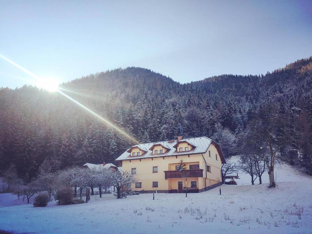 Tourist Farm Kolar Vila Ljubno Exterior foto